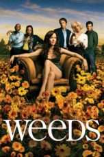 Nonton Film Weeds Season 03 (2005) Sub Indo